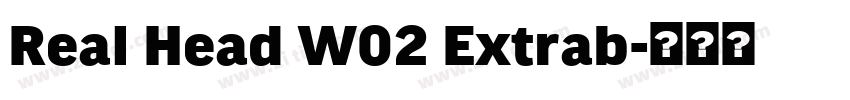 Real Head W02 Extrab字体转换
